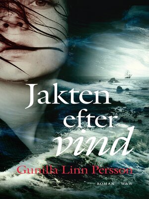 cover image of Jakten efter vind